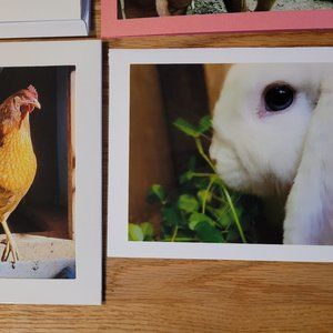 Set of 2 Handmade Farm Animal Bunny Carrots Greeting Cards